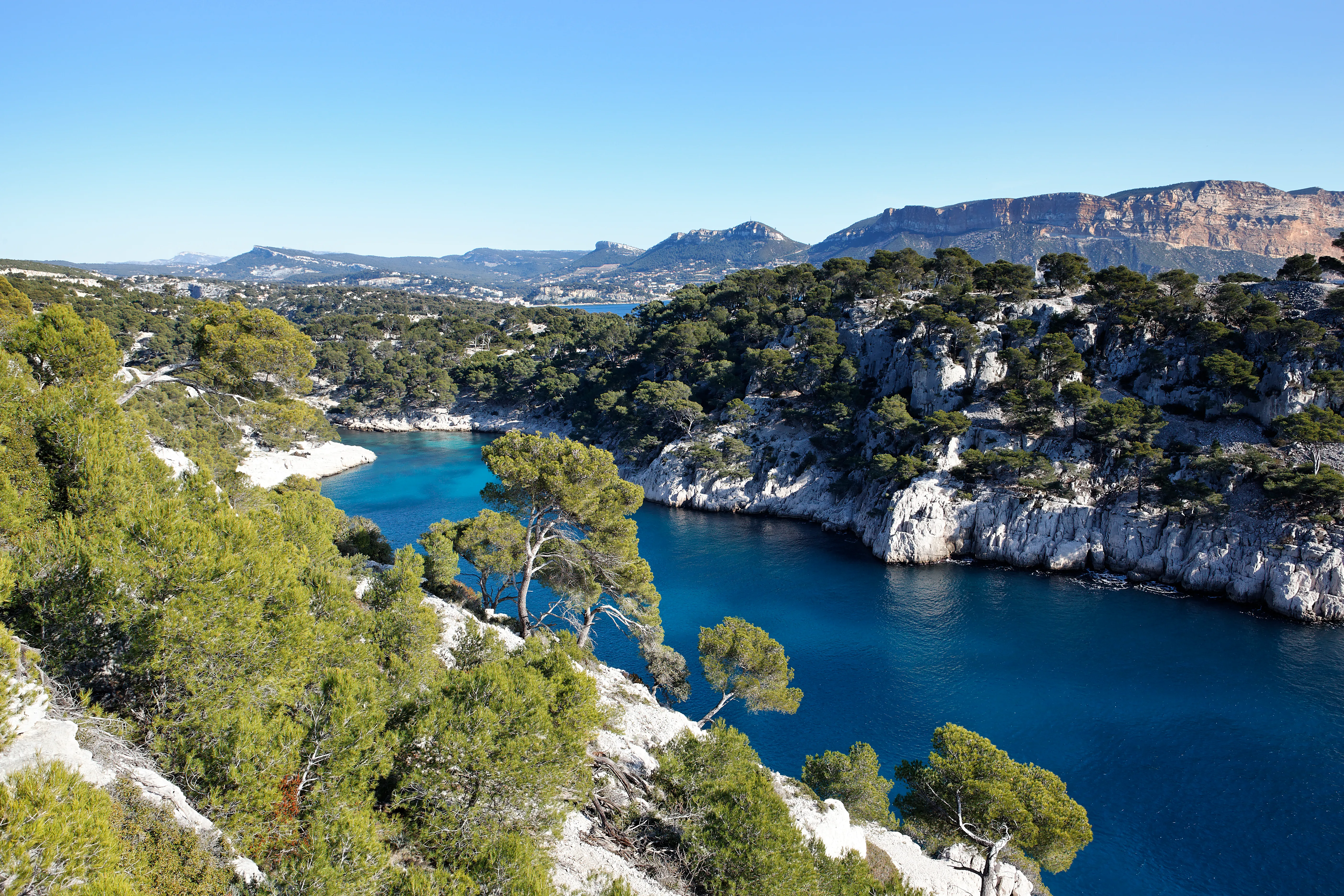 Criques et pins de la Méditerranée