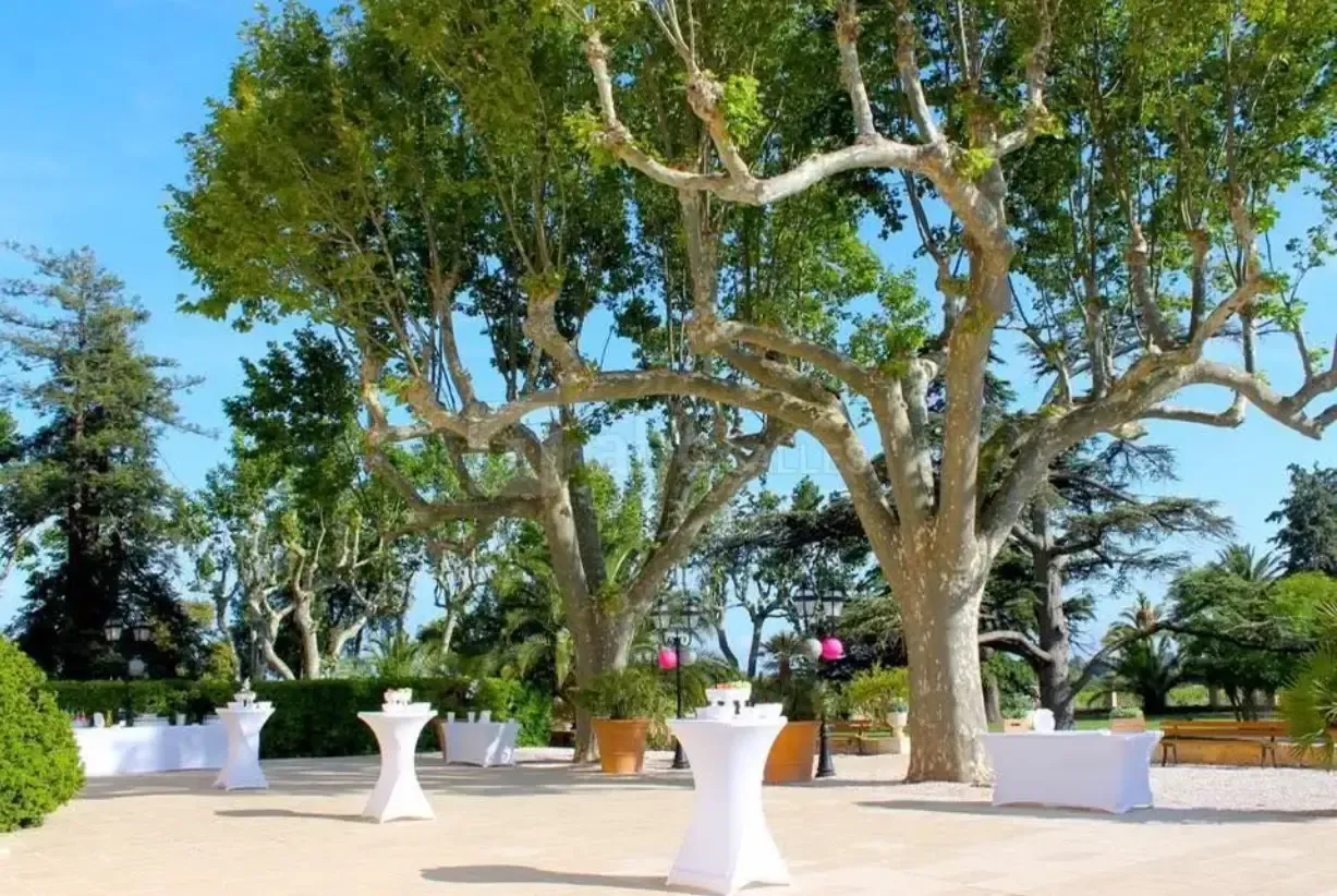Château des Anglades : les espaces du domaine partenaire Whakata (photo 5)
