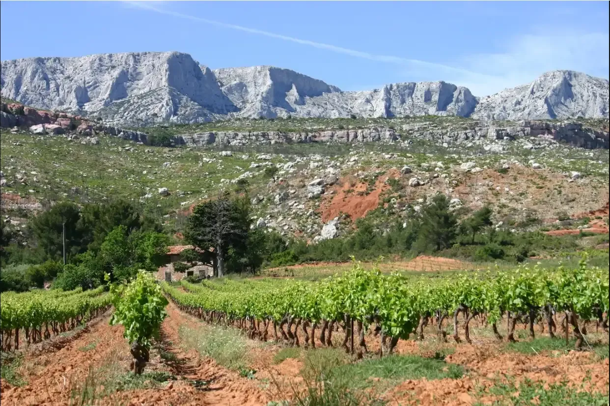 Domaine Terre de Mistral : les espaces du domaine partenaire Whakata (photo 6)