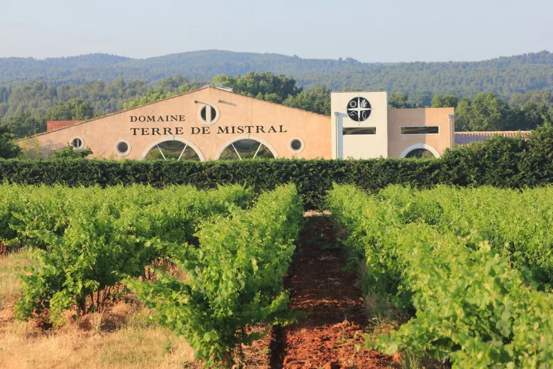 Domaine Terre de Mistral : domaine partenaire Whakata